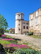 Visites guidées du château de l'Arthaudière_Saint-Bonnet-de-Chavagne