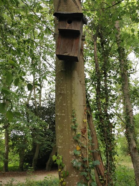 Parc du Moulin / Roger Moessner_Breuillet