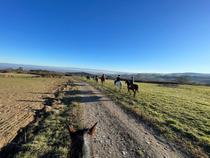 Centre Equestre Régional du Forez- CERF-Marcoux