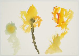 Les mini-mercredis : Un jardin extraordinaire