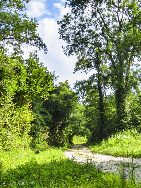 Randonnées à cheval en CAPI