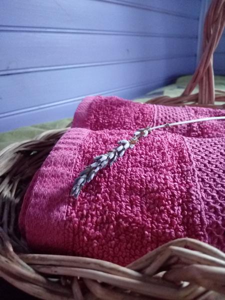 roulotte tzigane et gite champetre drome marsanne