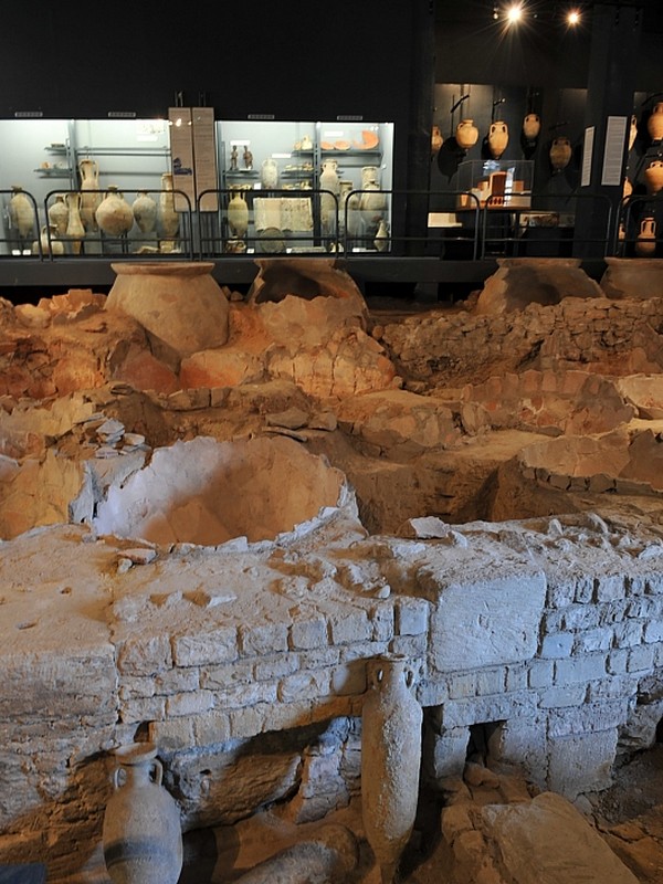 Musée des Docks romains