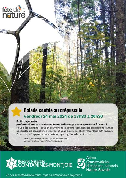 Affiche Balade crépusculaire