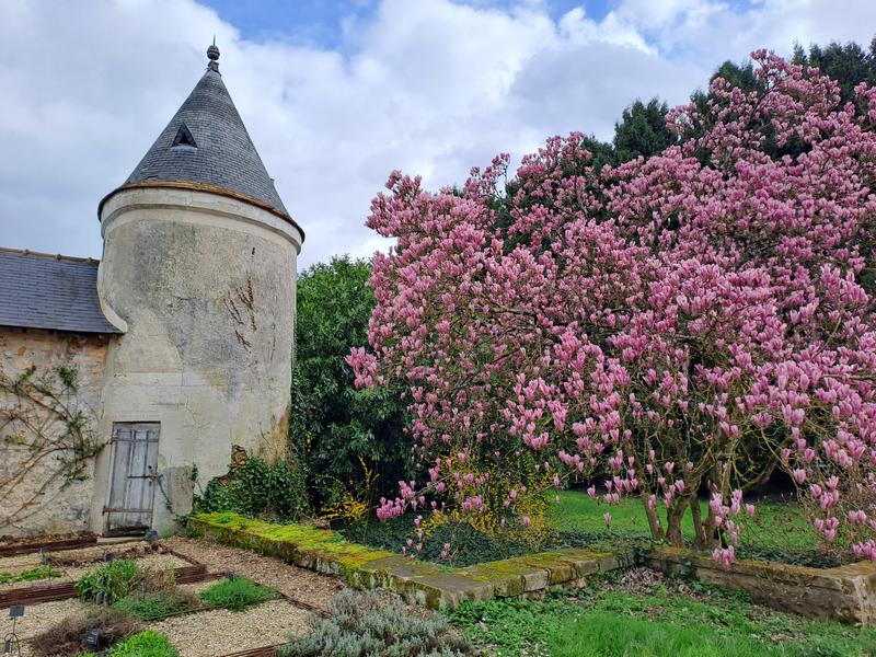 Visite Historique et collections : introduction au Jardin botanique de l'Université Paris-Saclay 
