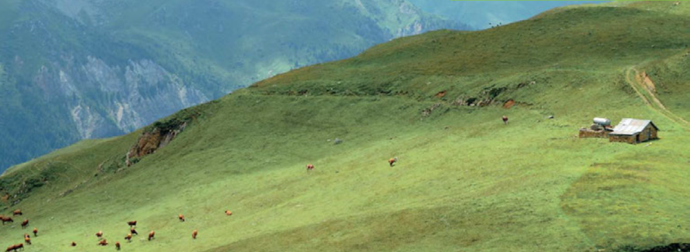 mont pourri