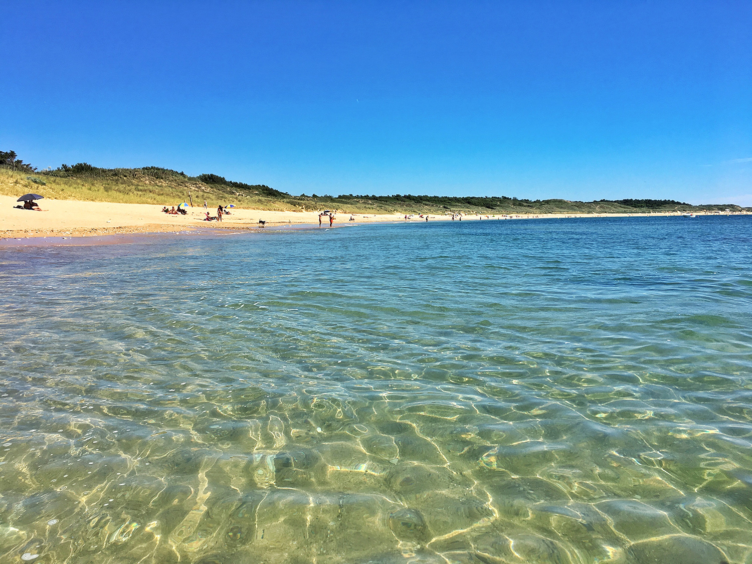 Plage de Domino