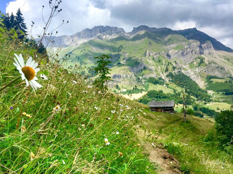 Trail la Grande Bambée à La Giettaz
