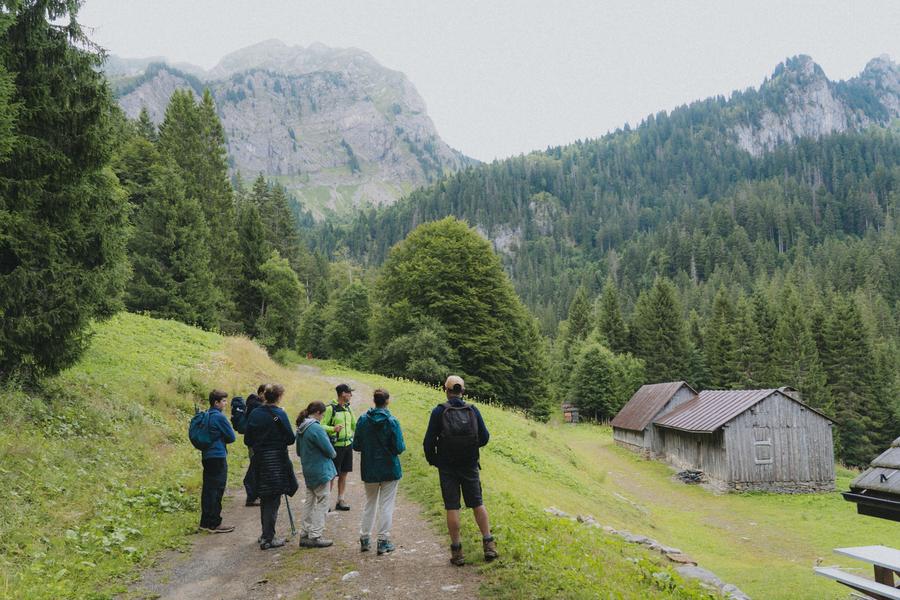 "Faune" Trip