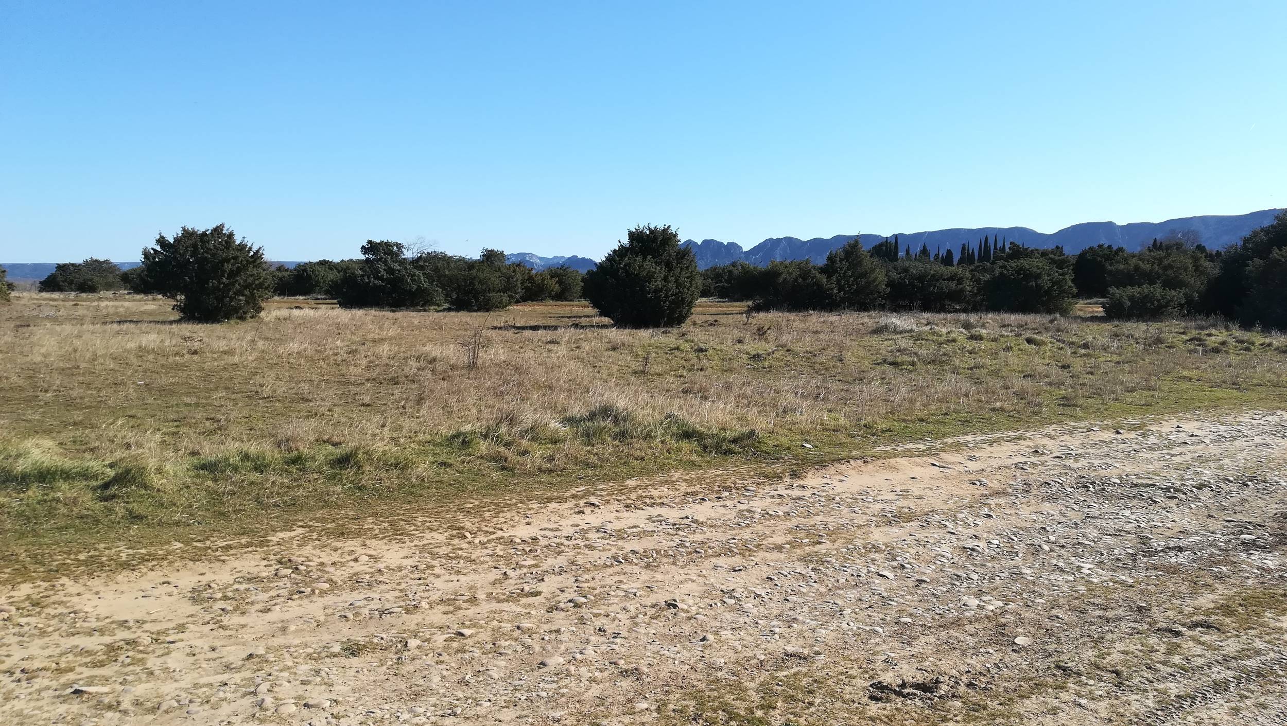 SAINT-RÉMY-DE-PROVENCE - À la rencontre des oiseaux de la Petite Crau — photo 2