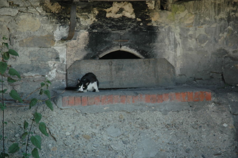 Four Passins - OTSI Morestel