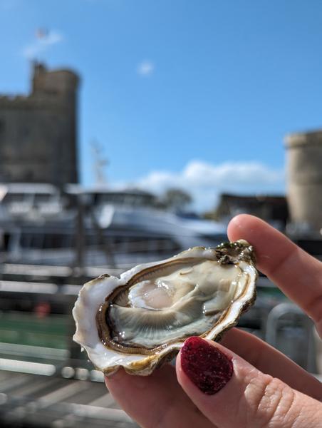Une main présentant une huitre ouverte.