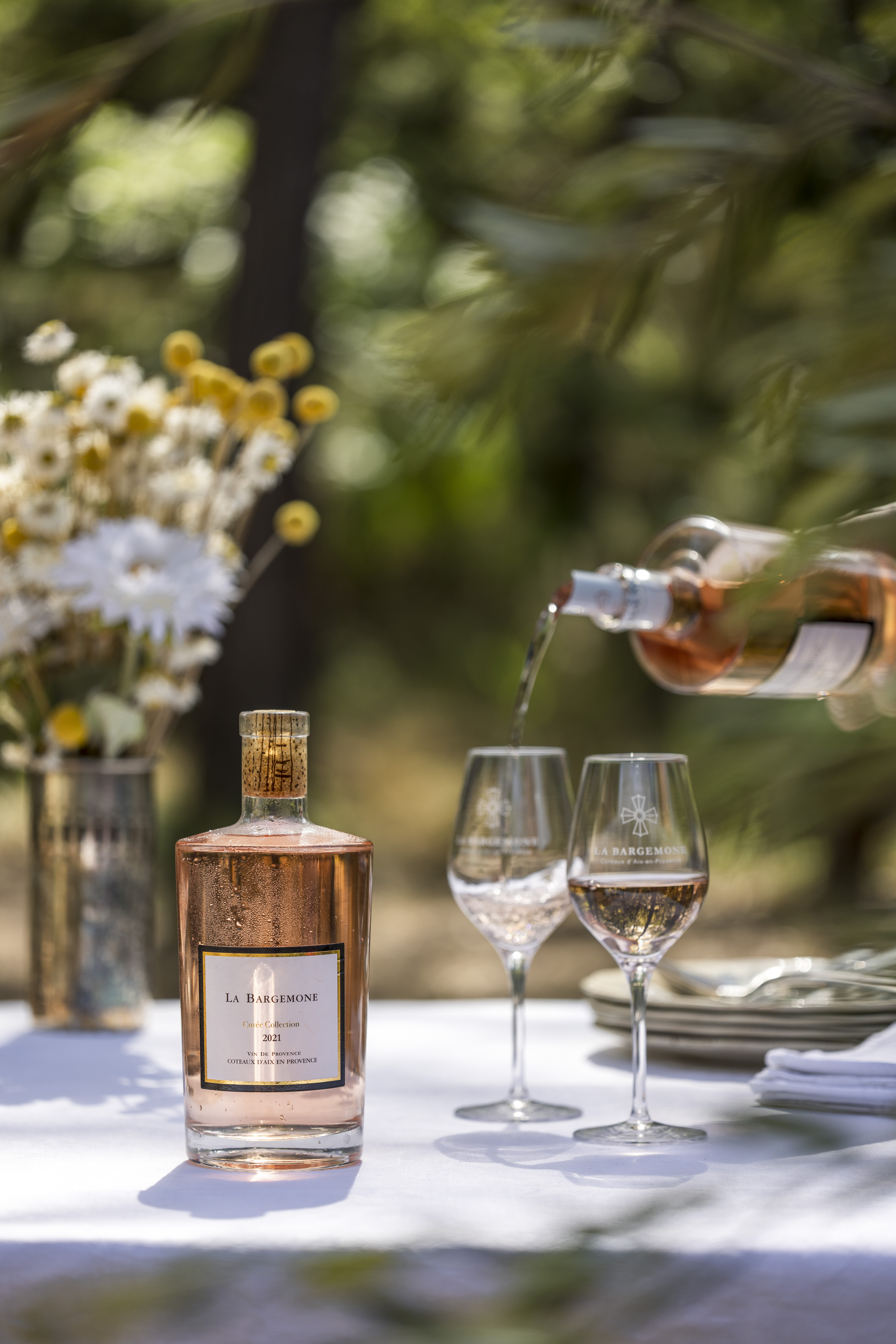 Domaine Bargemone - photo 3