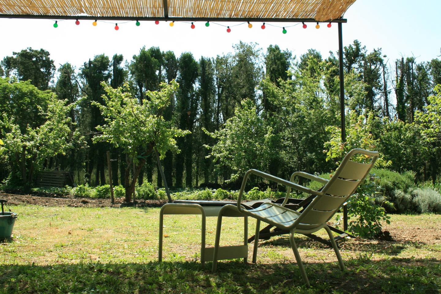 Le Petit Rougadou — photo 3