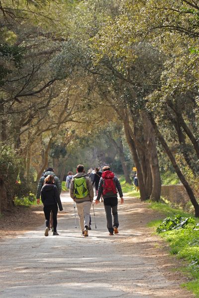 Randonneurs à Porquerolles