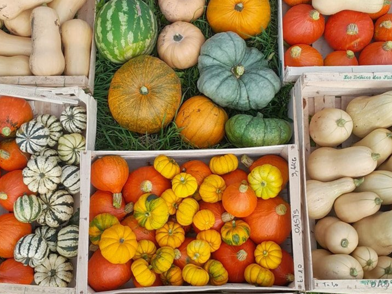 Visite et dégustation à la Ferme de l'Oasis_Saint-Marcel-de-Félines