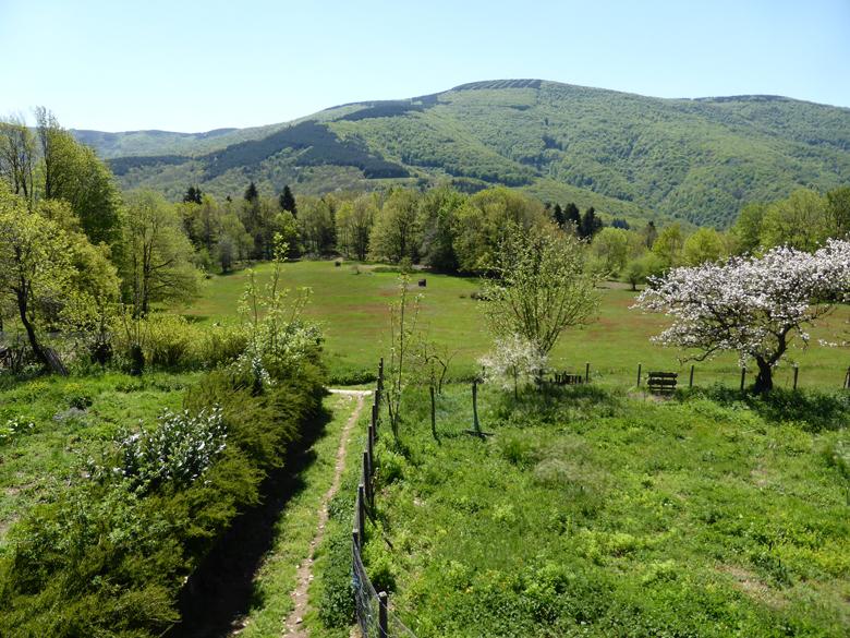 Stade de Jeûne, Randonnées et Massages_Labastide-Rouairoux
