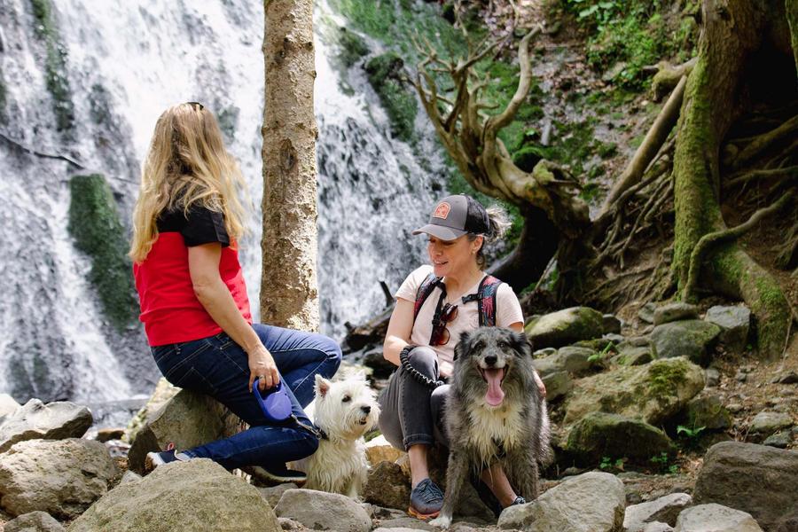 Randonnée aux cascades du Queureuilh et du Rossignolet