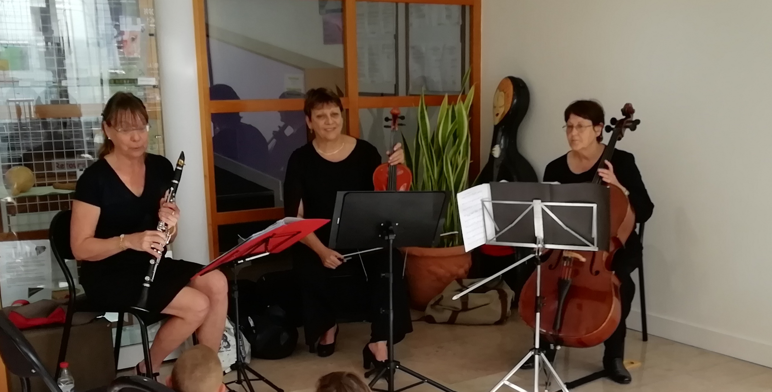 Ambiance musicale - Trio Symphonia de Pons