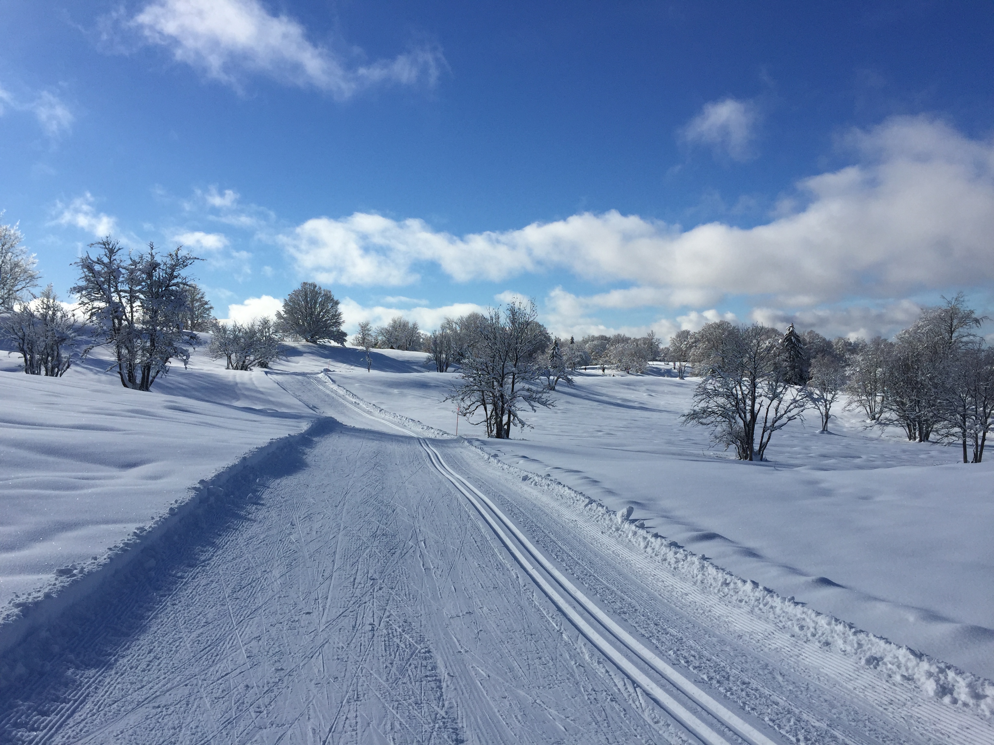 Piste verte de ski de fond du Plateau de Retord : La Vezeronce