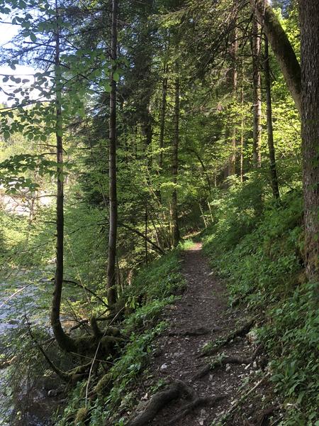 5 - Le tour du Roc d'Arguille en trail