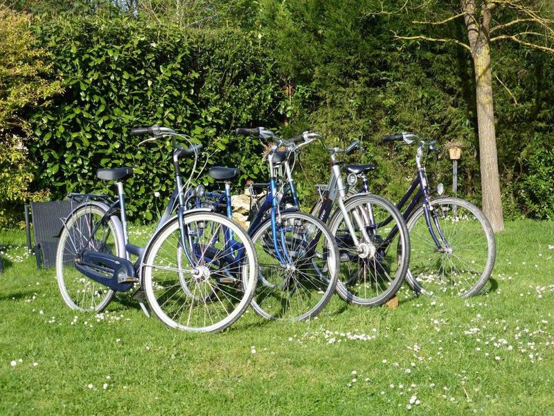 Des vélos prêts pour vos escapades sportives Des vélos prêts pour vos escapades sportives