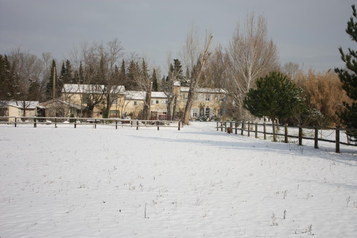 La Treille, Arles - photo 42