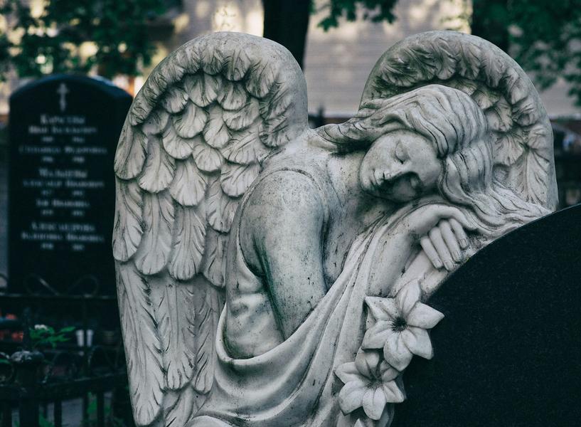 Image Unsplash
