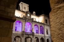 Festival Région des Lumières à l'Hôtel de Ville de Vienne_Vienne
