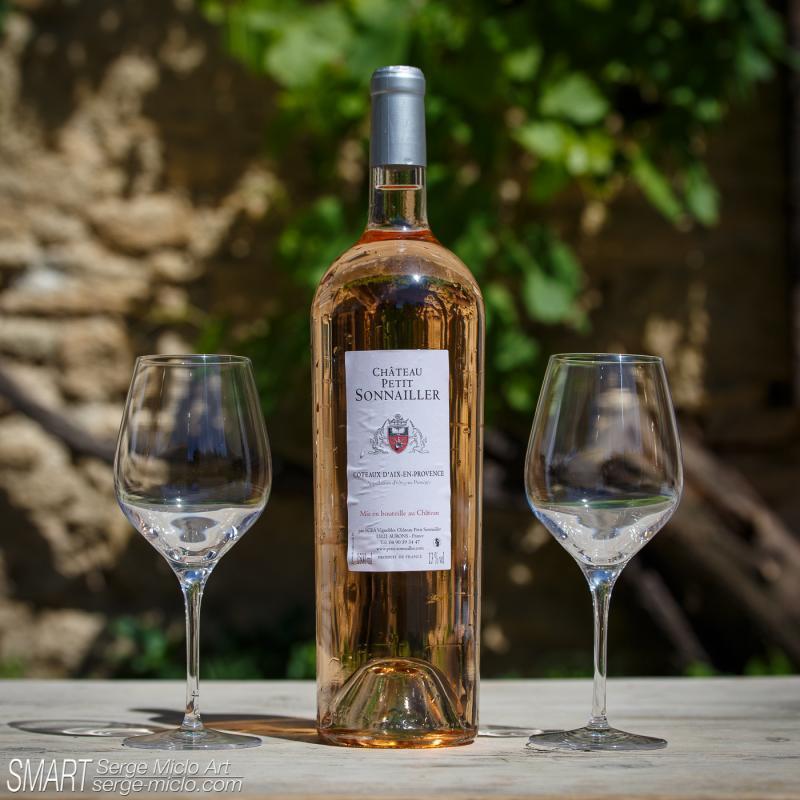 Château du Petit Sonnailler, Aurons - photo 22