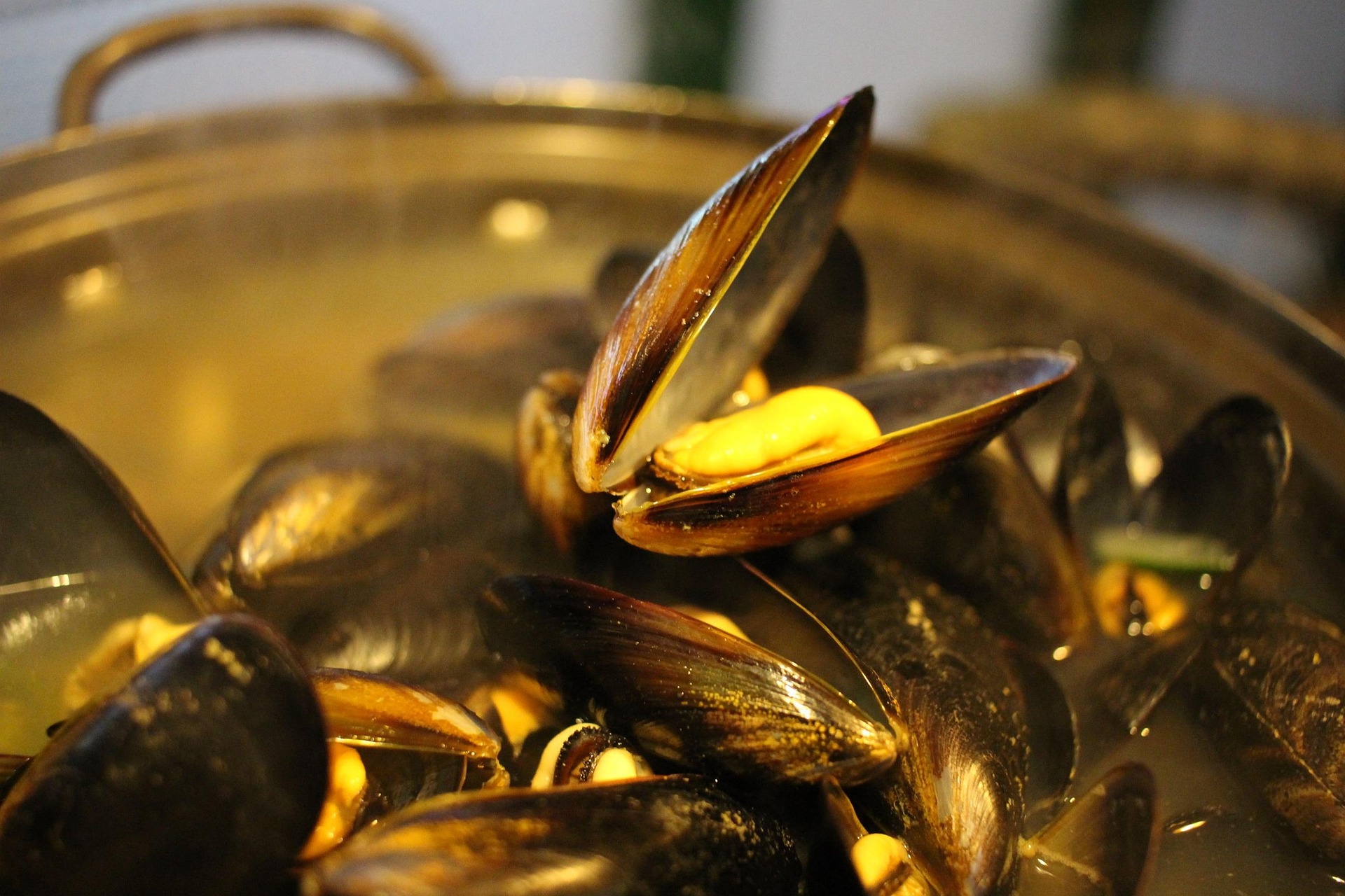Repas - Concert - Moules/Frites