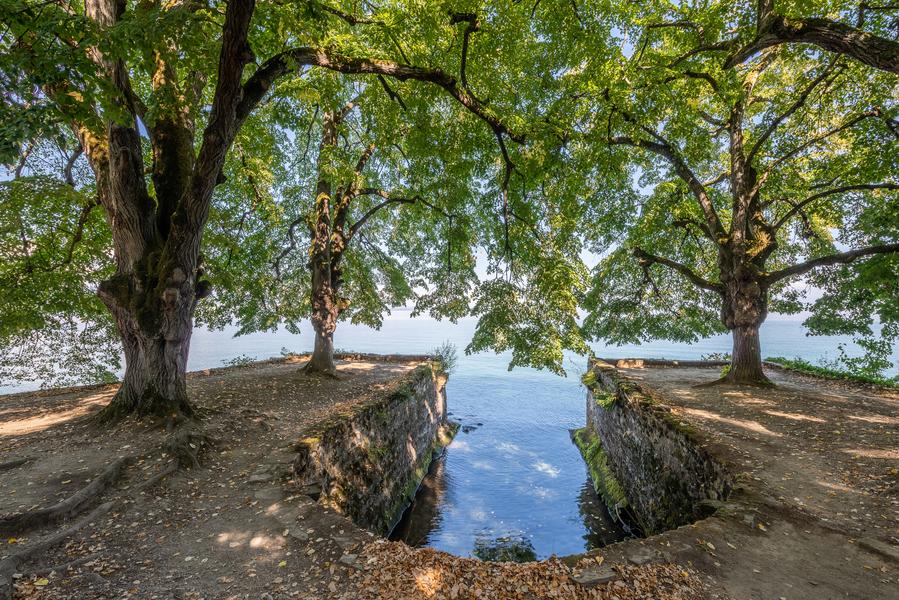 Domaine de Rovorée - La Châtaignière_Yvoire