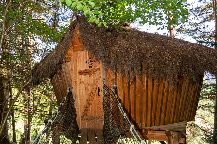 Cabane dans les bois Les Myrtilles