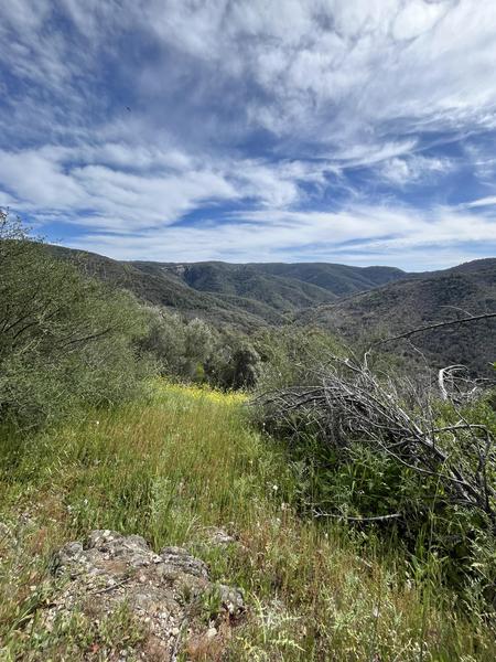 Les menhirs du plateau Lambert_Collobrières