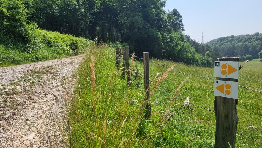 Liaison VTT (L5) Ile Chambod - Corveissiat par Gd Corent, la route des crêtes