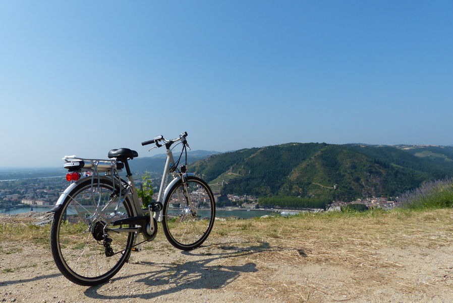 Vélo électrique dans les vignes