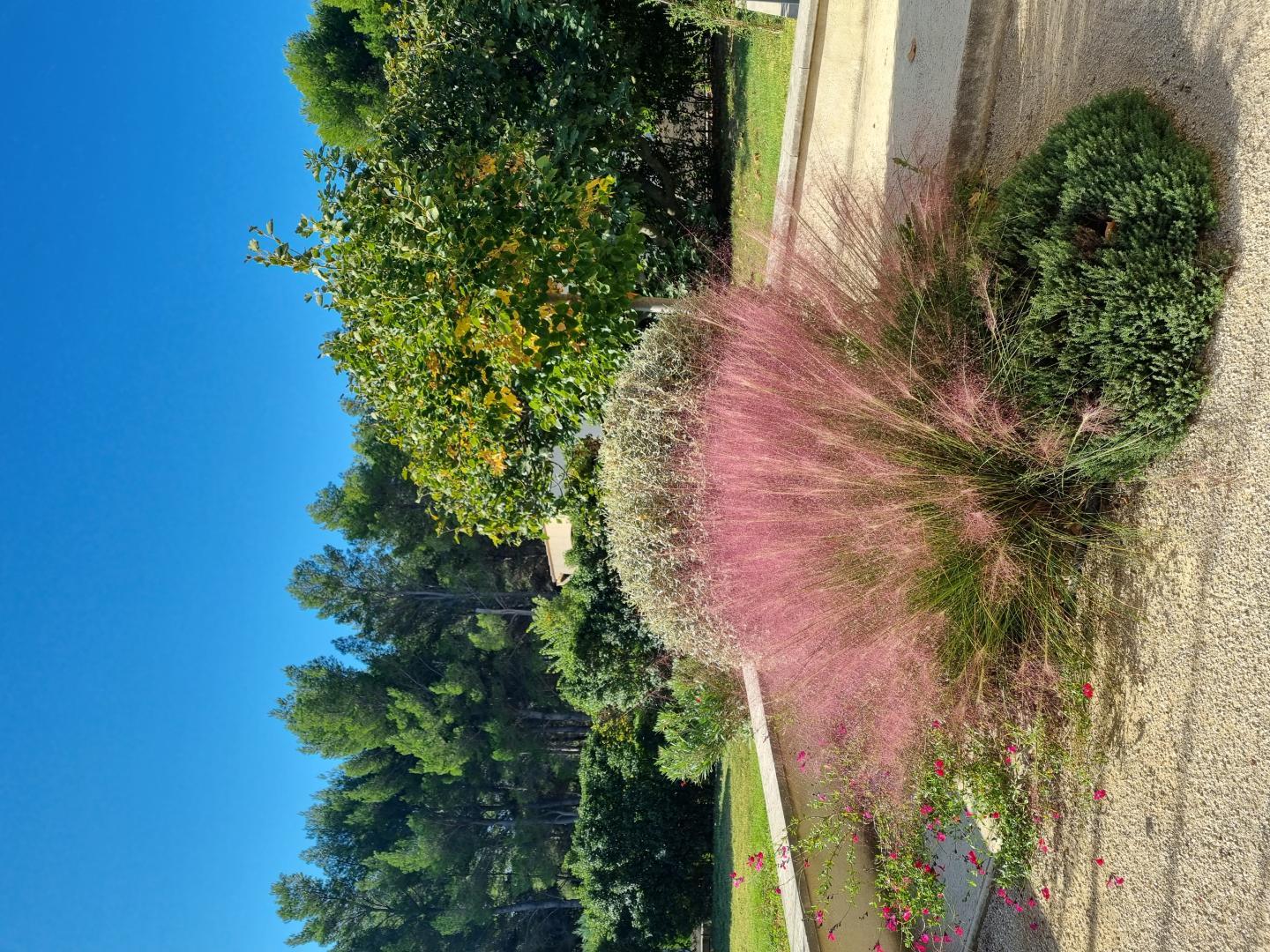 Mazet de Paul - Les Garrigues de la Vallée des Baux
