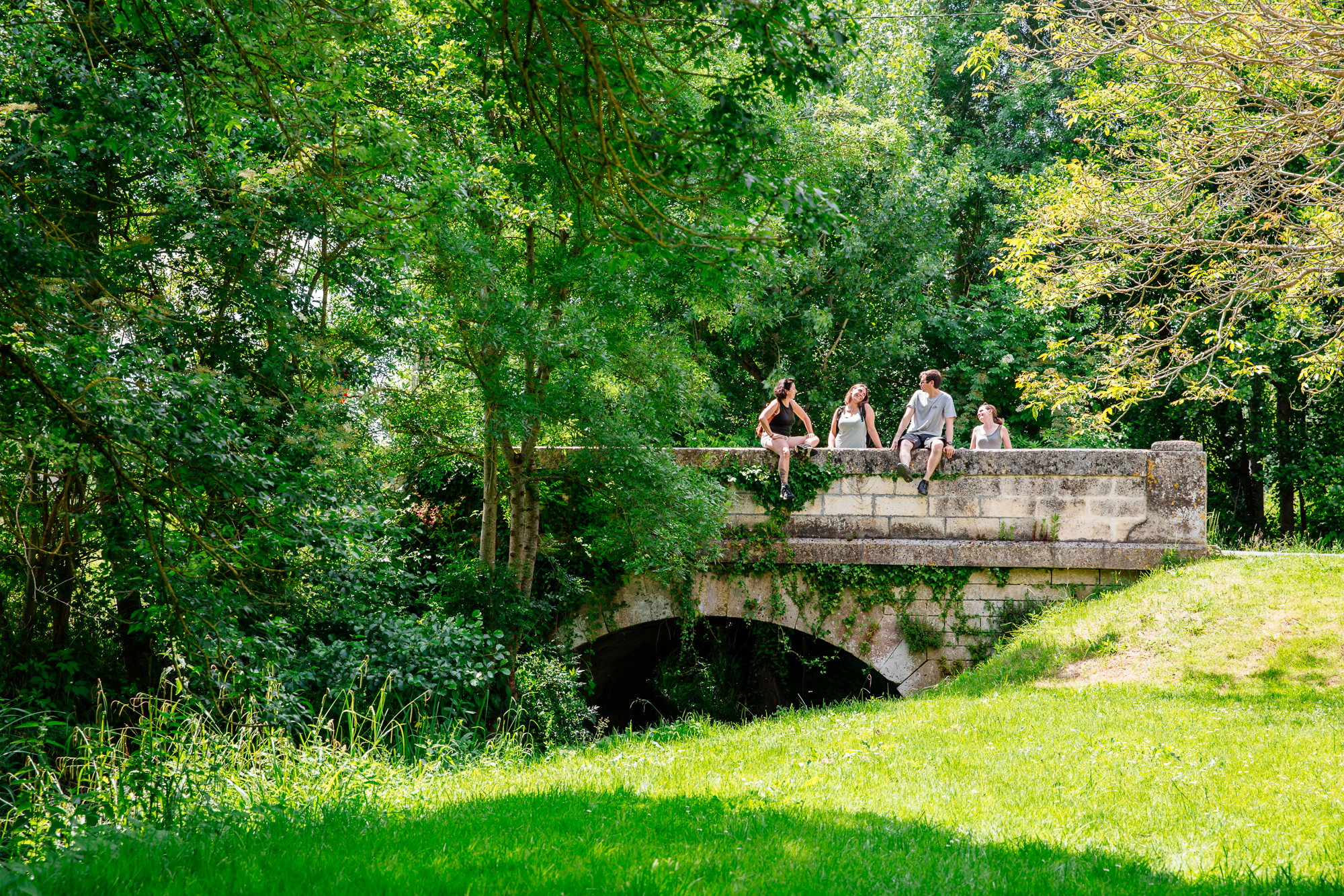Sentier des feuillus