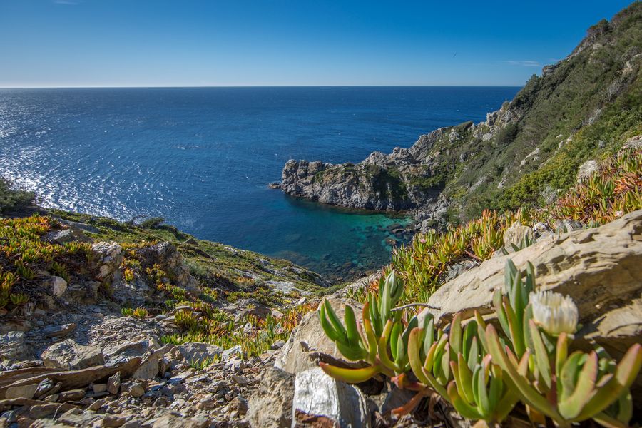 Falaises du Sud