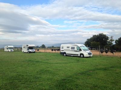 Aire de Camping-cars Ferme de l'Autruche Drômoise — photo 6