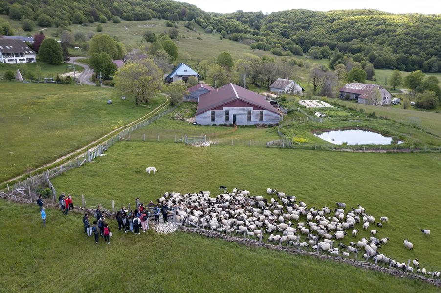 Randonnées en alpages avec la bergerie 