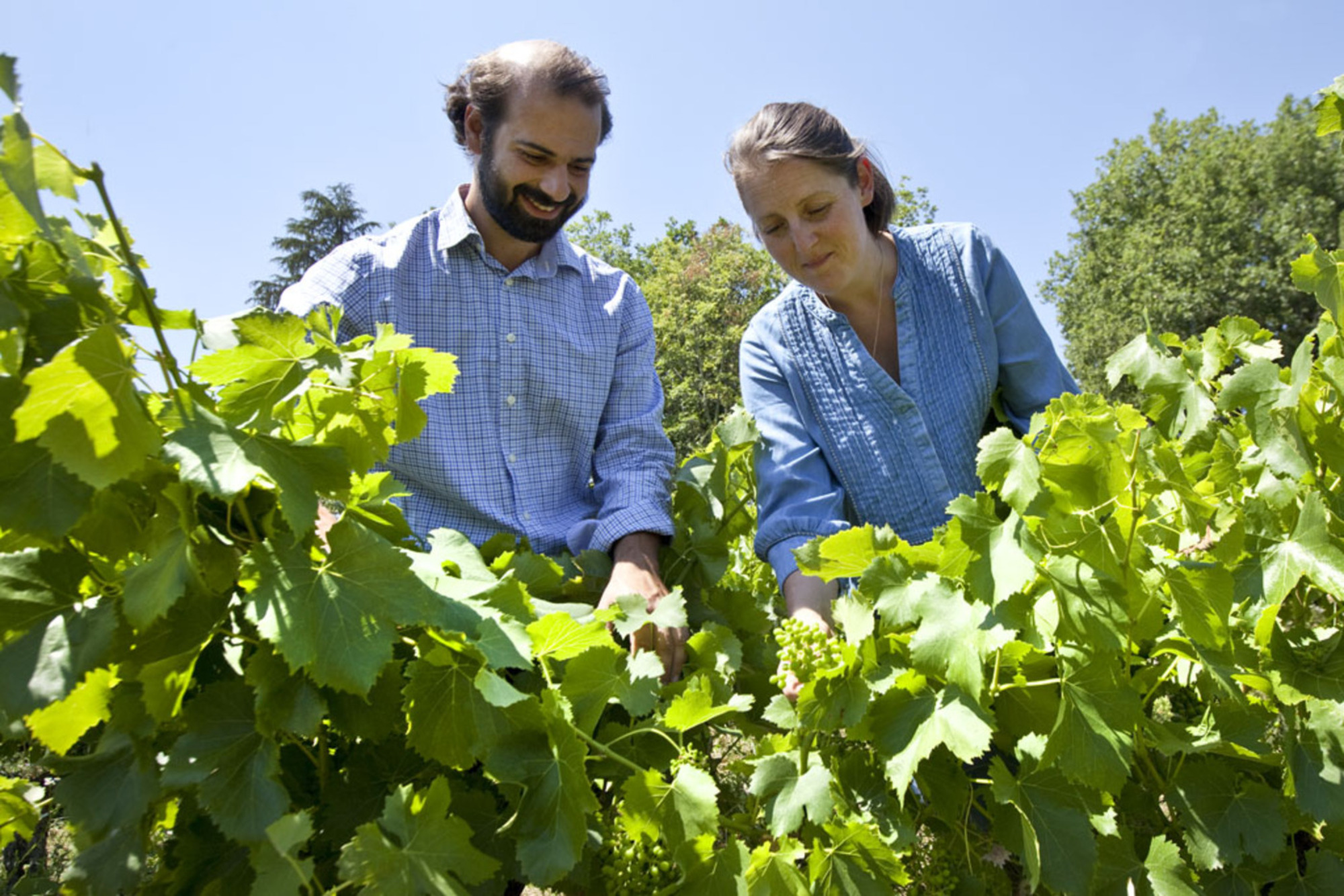 Saveurs de truffes et vins d'Ardèche au Château des Lèbres