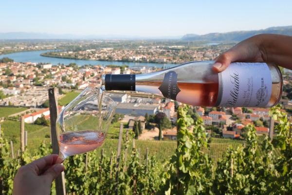 Atelier Vin & Barbecue: Spécial 14 juillet - M.CHAPOUTIER