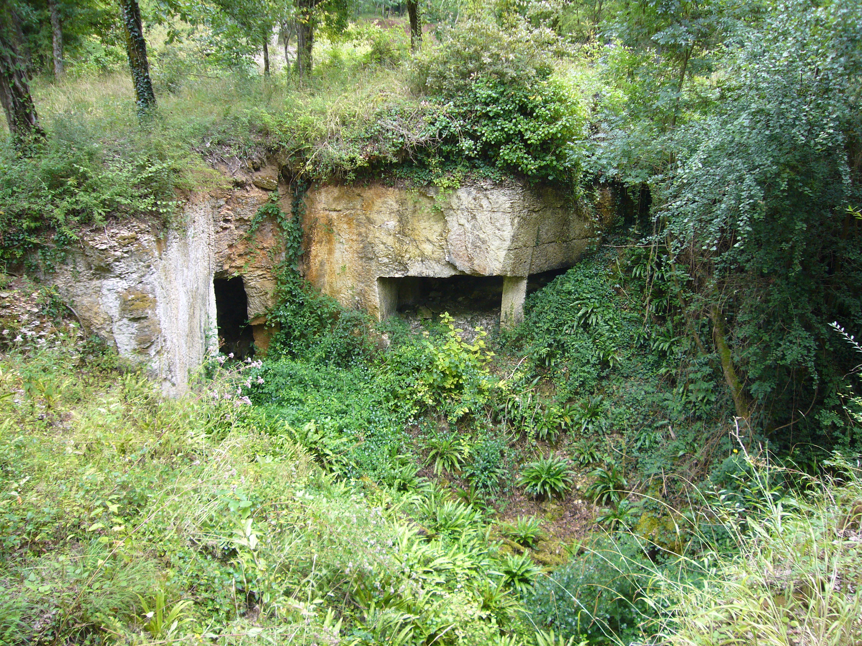 P'tit parcours de Genny