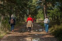 Marche pour octobre rose_Saint-Romain-le-Puy