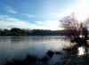 Etang de Verne - Saint-Aubin le Monial Ⓒ Amicale des pêcheurs de Verne