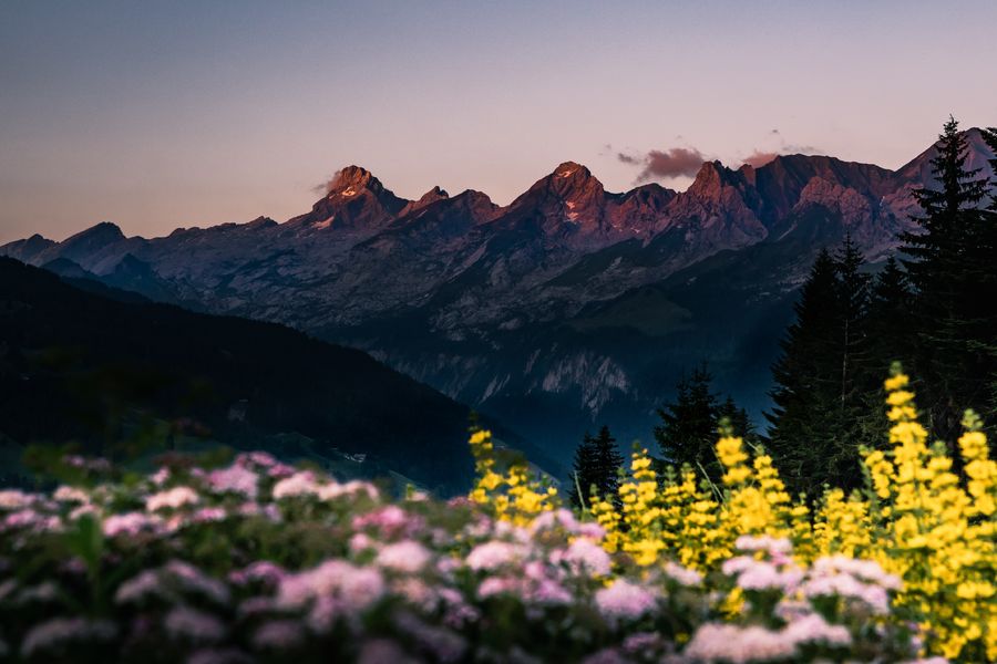 Les frasses Jacquier