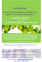 Stage – Dialoguer avec le monde végétal - La Palud-sur-Verdon - Photo 3