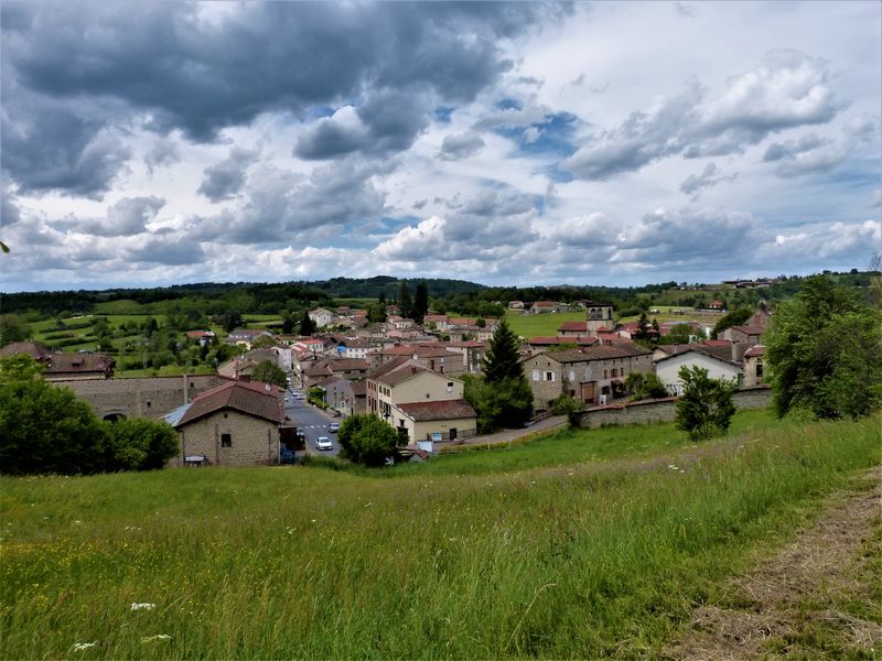 Des Ribes au Miodet