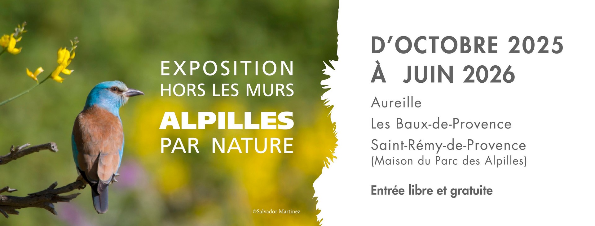 Exposition hors les murs : Les Alpilles par nature